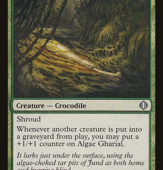 Algae Gharial [Shards of Alara] Hot on Sale