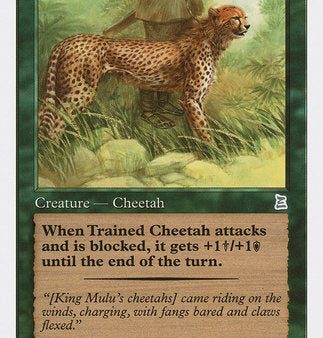 Trained Cheetah [Portal Three Kingdoms] Sale