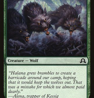 Thornhide Wolves [Shadows over Innistrad] Supply